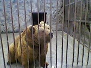 Прикрепленное изображение: SP_A0212.jpg